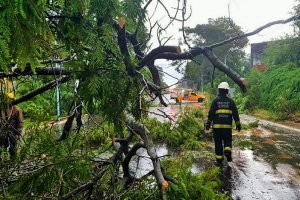 Con 65 milímetros en Gualeguaychú, se asiste a familias afectadas por el temporal