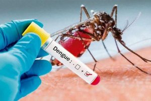 El primer paciente con dengue evoluciona bien desde su casa en Concordia