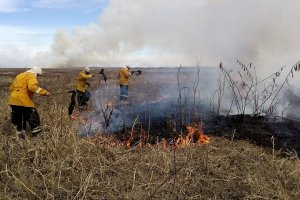 Río Negro y Entre Ríos registran focos activos de incendios forestales