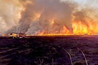 Frigerio pide auxilio fiscal a productores afectados por incendios