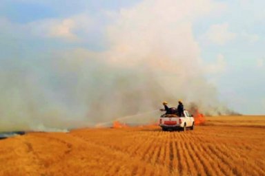 Demandó más de dos horas de trabajo controlar el incendio en un trigal