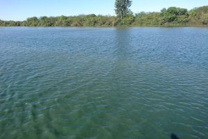 Alertan por la presencia de cianobacterias en el río Uruguay