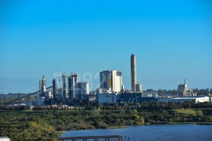 En Uruguay debaten si hay dinero en Ambiente para monitorear UPM 2