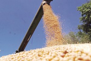 La molienda de soja cayó un casi un 10% en 2022