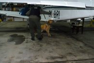 Islas: Interceptaron 350 kilos de drogas transportados en una avioneta