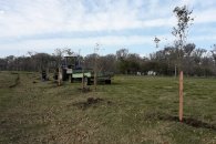 Se plantaron más de 150 árboles en el Parque Unzué