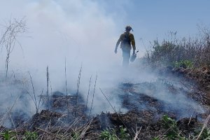 Piden levantar medida cautelar que restringe la producción y permanencia en islas