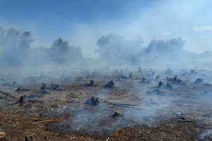 Nación reportó 20 mil hectáreas incendiadas en la provincia durante 2021