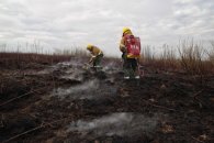 Incendios: la Corte admitió demanda contra el gobierno de Entre Ríos