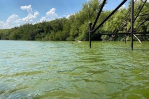 Advierten de Cianobacterias tóxicas en el Río Uruguay