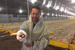 Senasa auditó dos empresas avícolas de Entre Ríos