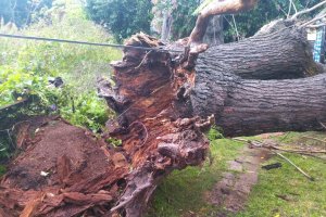 El temporal provocó daños en varias ciudades de Río Negro