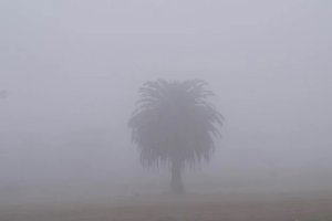 Otra mañana con niebla y una máxima de 17 grados en Gualeguaychú