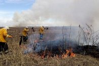 Piden informes sobre la acción del gobierno ante los incendios en el Delta