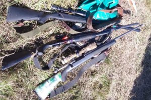 Secuestraron tres armas y ciervos cazados en forma ilegal