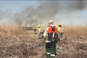 Hay cinco personas de Santa Fe detenidas por las quemas en Islas del Delta