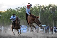 Un caballo pisó a un jinete y está grave en Paraná