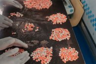 Golpe al Narcotráfico: Incautaron el mayor cargamento de drogas sintéticas