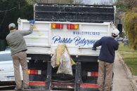 Pueblo Belgrano refuerza la recolección de residuos domiciliarios