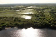 Impulsan un nuevo parque provincial en las islas del Río Uruguay