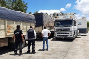AFIP incautó soja valuada en 4.5 millones de pesos en Entre Ríos