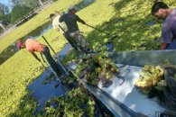 Intentarán retirar las algas de la Laguna del Parque Unzué