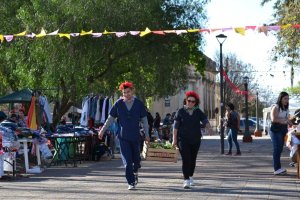 Con gran convocatoria se realizó la Feria Popular y Solidaria de Zona Norte