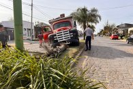 Fotos: Un camión arrancó una palmera en el Boulevard Daneri