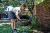 Ante las lluvias instan a sostener las medidas preventivas contra el dengue