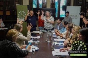 Trataron un proyecto para adherir a la Ley Nacional de Lengua de Señas Argentina