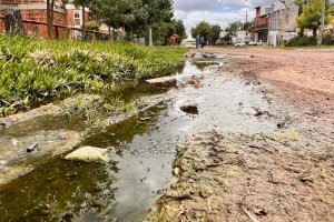 Los vecinos del Plan Alborada siguen reclamando por aguas servidas en las calles