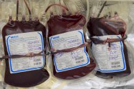 Instan a donar sangre para que haya stock en los hospitales de la provincia