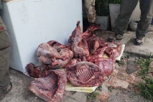 Decomisaron cortes cárnicos de animales silvestres