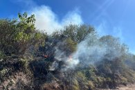 Sospechan que los incendios forestales en la ciudad serían intencionales