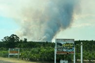 Humo en la ruta 14: se desplegó el Plan del Manejo del Fuego